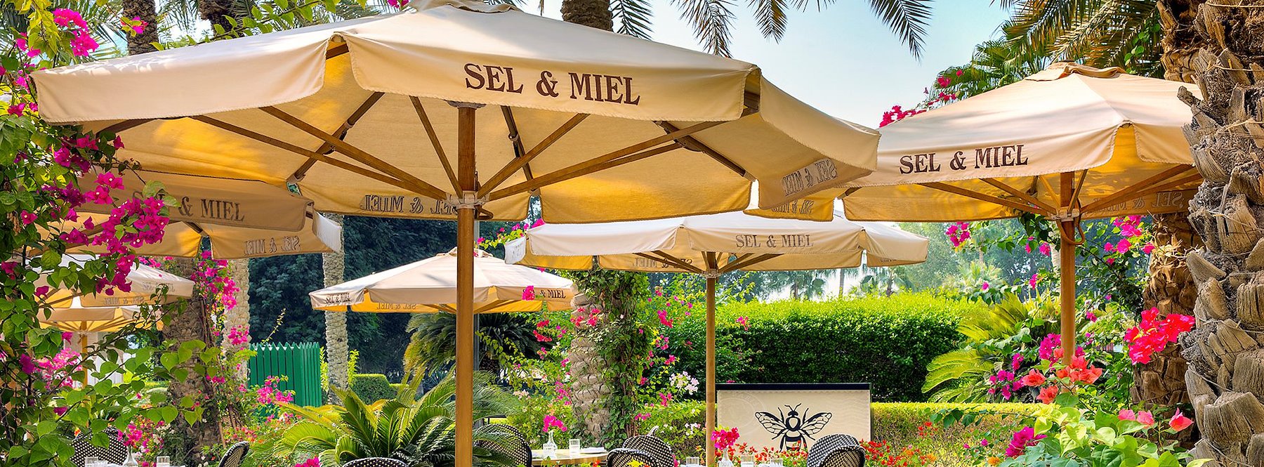 siel et miel doha interior